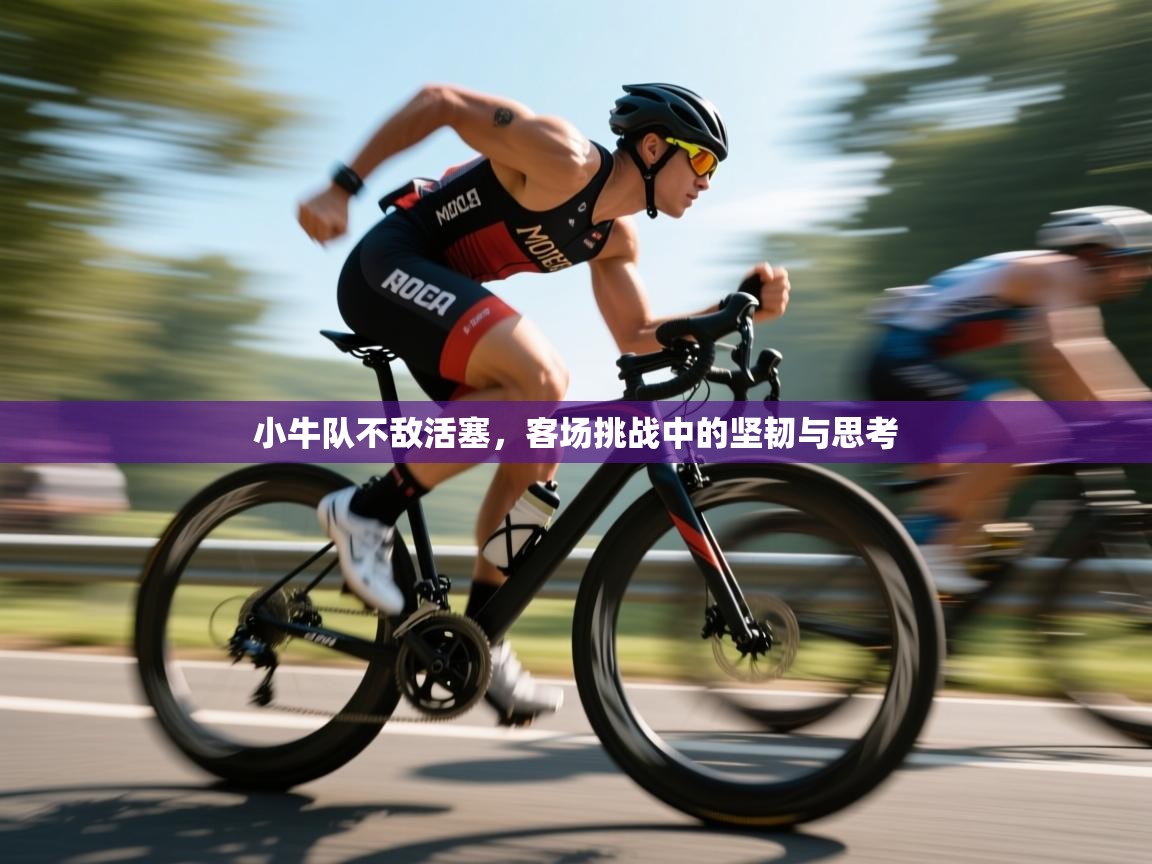 小牛队不敌活塞，客场挑战中的坚韧与思考
